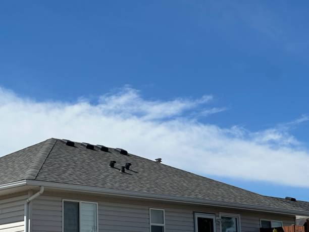 Fast & Reliable Emergency Roof Repairs in Lakeland, GA